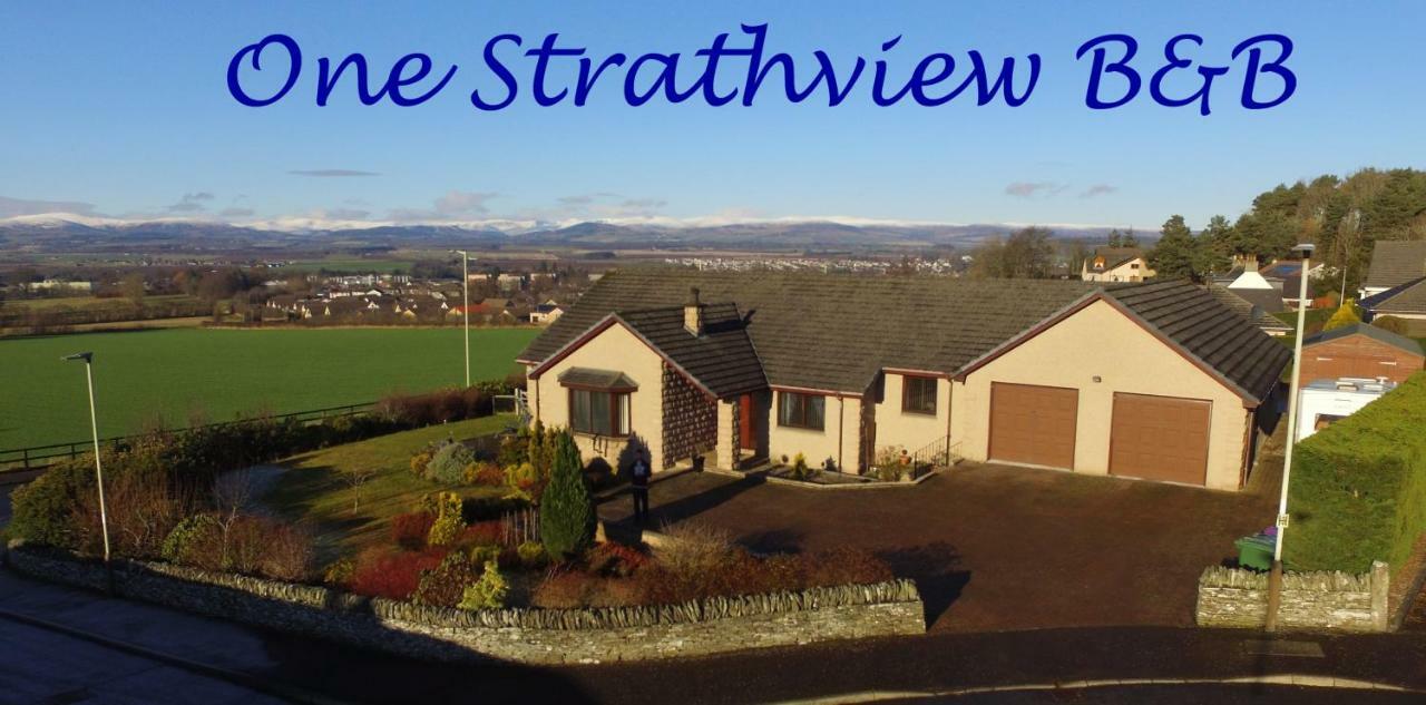 فوفار One Strathview B&B المظهر الخارجي الصورة
